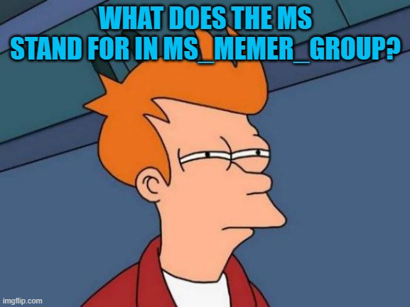 confusion | WHAT DOES THE MS STAND FOR IN MS_MEMER_GROUP? | image tagged in memes,futurama fry | made w/ Imgflip meme maker