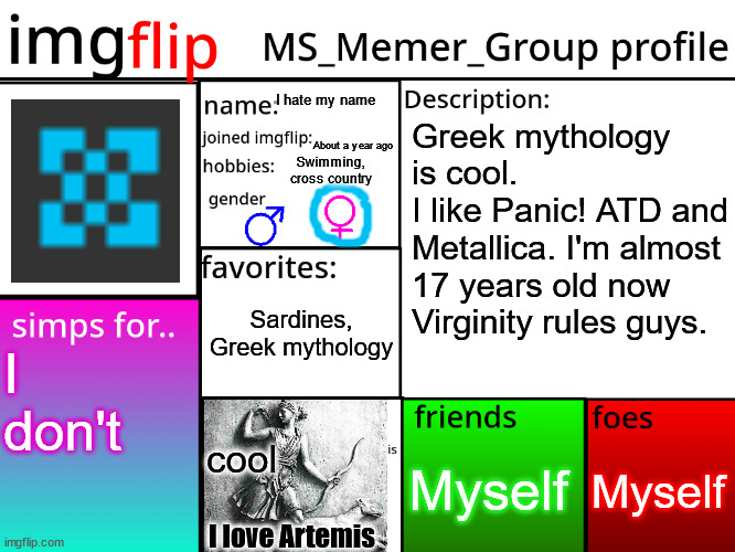 MSMG Profile | I hate my name; Greek mythology is cool. 
I like Panic! ATD and Metallica. I'm almost 17 years old now
Virginity rules guys. About a year ago; Swimming, cross country; Sardines, Greek mythology; I don't; Myself; Myself; cool; I love Artemis | image tagged in msmg profile | made w/ Imgflip meme maker