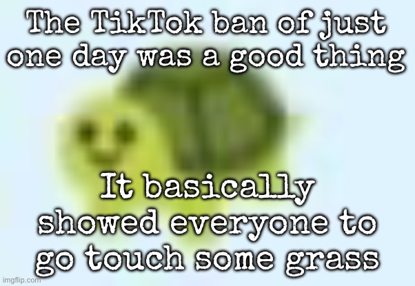 The fact there were people trying to open the app over and over or write an essay of why they are sad is crazy | The TikTok ban of just one day was a good thing; It basically showed everyone to go touch some grass | image tagged in low quality turtle,msmg | made w/ Imgflip meme maker