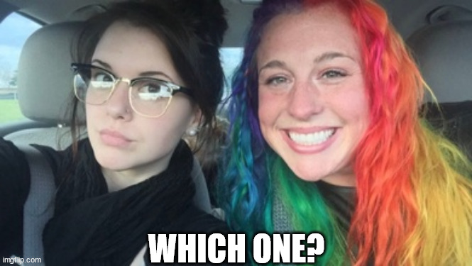 Two girls two hair | WHICH ONE? | image tagged in two girls two hair | made w/ Imgflip meme maker
