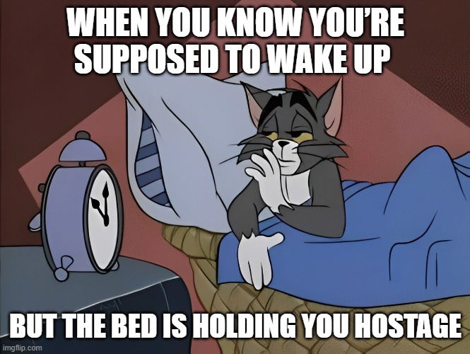 That feeling! | WHEN YOU KNOW YOU’RE SUPPOSED TO WAKE UP; BUT THE BED IS HOLDING YOU HOSTAGE | image tagged in memes | made w/ Imgflip meme maker