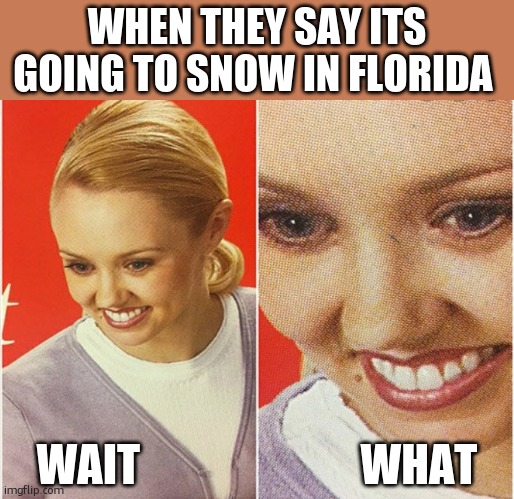 WAIT WHAT? | WHEN THEY SAY ITS GOING TO SNOW IN FLORIDA; WAIT                         WHAT | image tagged in wait what | made w/ Imgflip meme maker