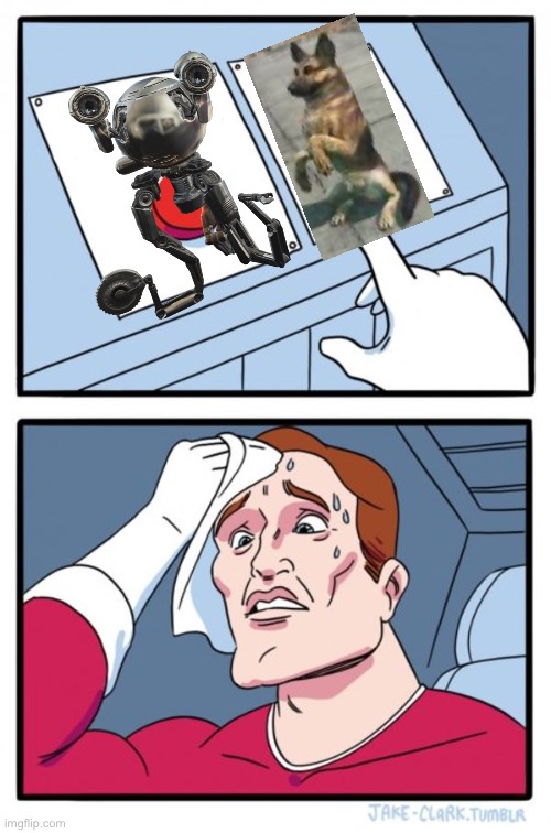 Hard to choose | image tagged in memes,two buttons,fallout 4 | made w/ Imgflip meme maker