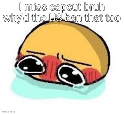 amb shamb bbbmba | I miss capcut bruh why'd the US ban that too | image tagged in amb shamb bbbmba | made w/ Imgflip meme maker