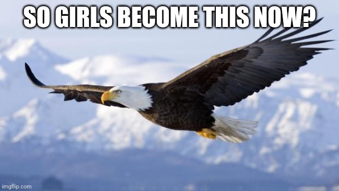 eagle | SO GIRLS BECOME THIS NOW? | image tagged in eagle | made w/ Imgflip meme maker