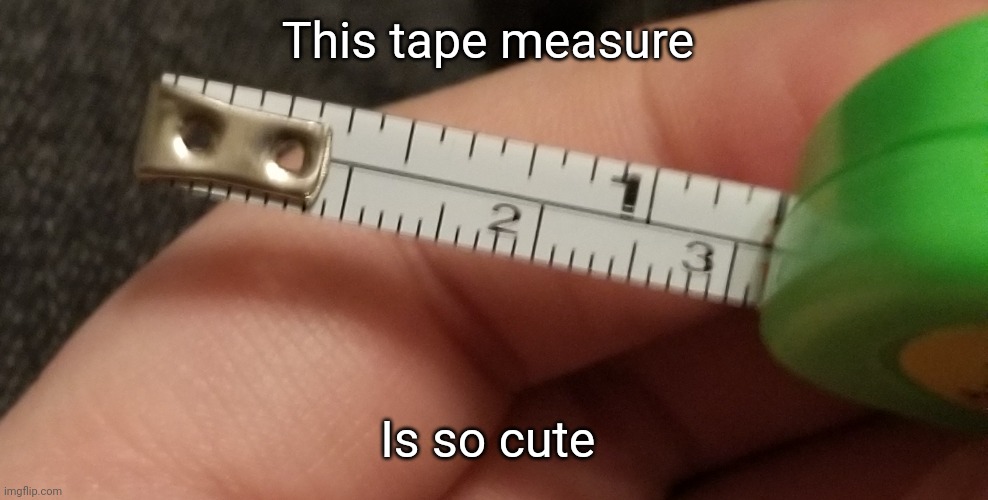 Ignore the spot here its pulled out to. It dosnt mean anything. | This tape measure; Is so cute | made w/ Imgflip meme maker