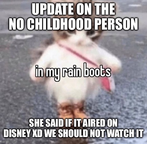 Rain boots | UPDATE ON THE NO CHILDHOOD PERSON; SHE SAID IF IT AIRED ON DISNEY XD WE SHOULD NOT WATCH IT | image tagged in rain boots | made w/ Imgflip meme maker