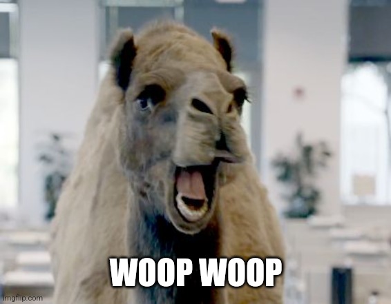 WOOP WOOP | image tagged in geico camel hump day | made w/ Imgflip meme maker