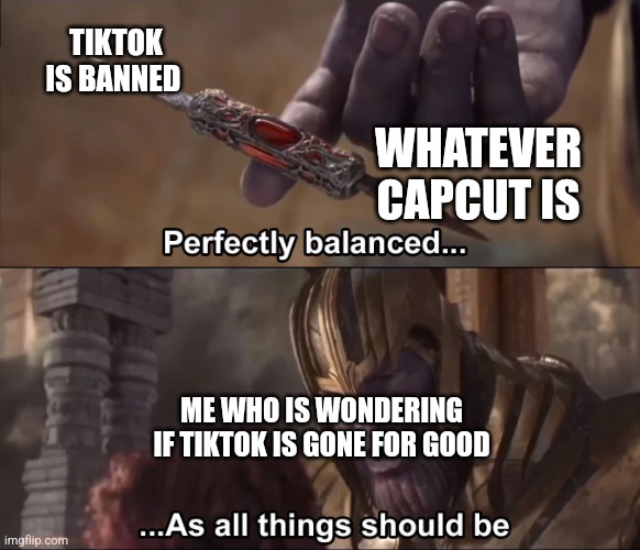 Thanos perfectly balanced as all things should be | TIKTOK IS BANNED WHATEVER CAPCUT IS ME WHO IS WONDERING IF TIKTOK IS GONE FOR GOOD | image tagged in thanos perfectly balanced as all things should be | made w/ Imgflip meme maker