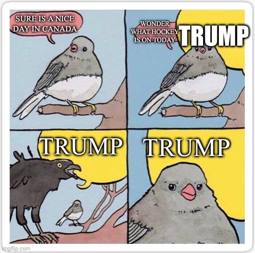 bird talk | TRUMP; WONDER WHAT HOCKEY IS ON TODAY; SURE IS A NICE DAY IN CANADA; TRUMP; TRUMP | image tagged in bird talk | made w/ Imgflip meme maker