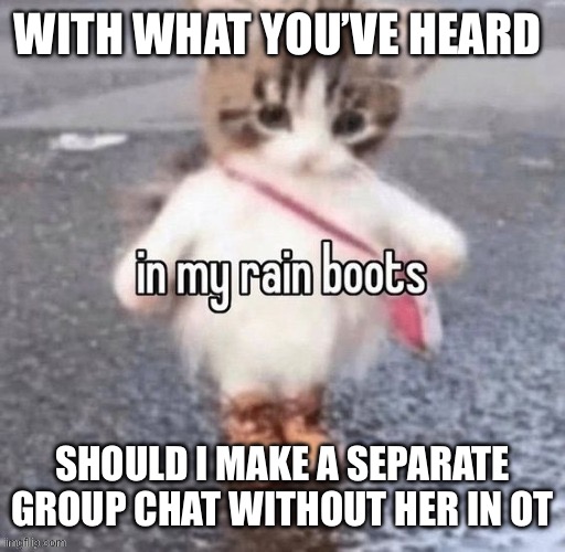 Rain boots | WITH WHAT YOU’VE HEARD; SHOULD I MAKE A SEPARATE GROUP CHAT WITHOUT HER IN OT | image tagged in rain boots | made w/ Imgflip meme maker