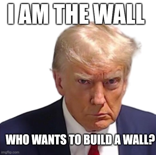 They Hate The Walls They Live Behind | I AM THE WALL; WHO WANTS TO BUILD A WALL? | image tagged in trump mugshot,free speech | made w/ Imgflip meme maker