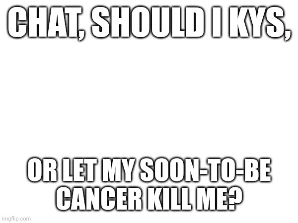 /srs | CHAT, SHOULD I KYS, OR LET MY SOON-TO-BE CANCER KILL ME? | made w/ Imgflip meme maker