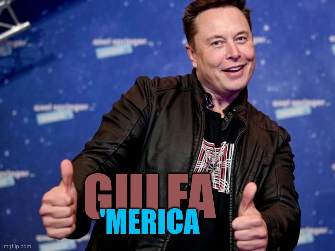 Elon Musk Nice | GULFA 'MERICA | image tagged in elon musk nice | made w/ Imgflip meme maker