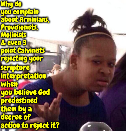 What Do They Expect | Why do you complain about Arminians, Provisionists, Molinists & even 3 point Calvinists rejecting your; scripture interpretation when you believe God predestined them by a decree of action to reject it? | image tagged in black girl wat,calvinism,molinism,arminian,ai robotic marionette muppet zombie corpse puppet,reformed 5 point puppetry | made w/ Imgflip meme maker