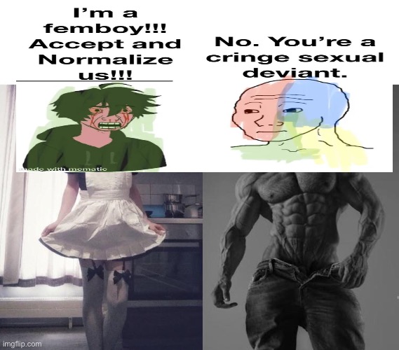 Windows guy Speaks Facts | image tagged in giga chad vs femboy,femboy,femboys are objects,geto suguru getting railed by monkey,funny,memes | made w/ Imgflip meme maker