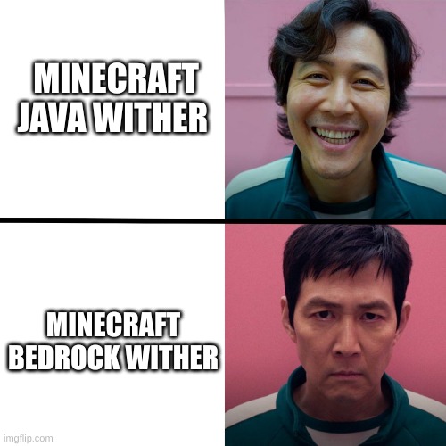 Java vs Bedrock again | MINECRAFT JAVA WITHER; MINECRAFT BEDROCK WITHER | image tagged in squid game season 1 vs season 2,minecraft,minecraft memes,gaming,mojang | made w/ Imgflip meme maker