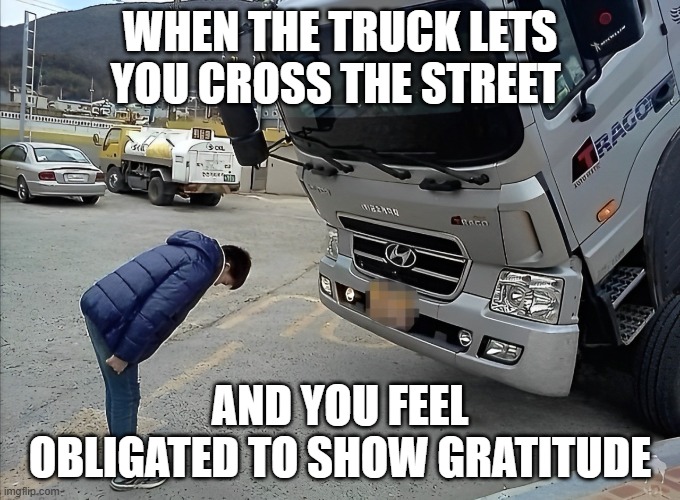 That feeling! | WHEN THE TRUCK LETS YOU CROSS THE STREET; AND YOU FEEL OBLIGATED TO SHOW GRATITUDE | image tagged in memes | made w/ Imgflip meme maker