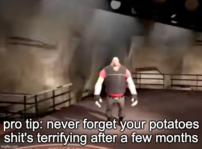 where's my soil, jon | pro tip: never forget your potatoes shit's terrifying after a few months | image tagged in heavy | made w/ Imgflip meme maker