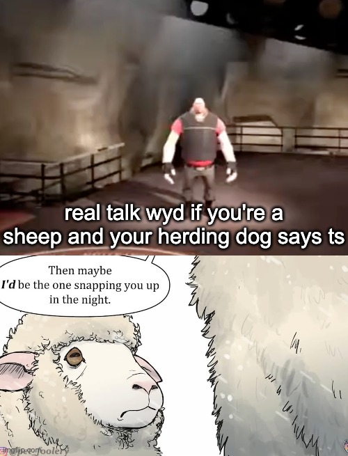 real talk wyd if you're a sheep and your herding dog says ts | image tagged in heavy | made w/ Imgflip meme maker