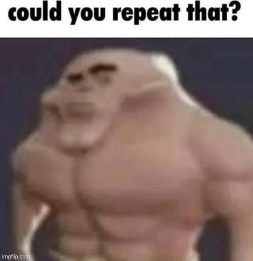 could you repeat that? | image tagged in could you repeat that | made w/ Imgflip meme maker