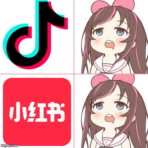 Most American youth shifted from TikTok to REDNOTE, because of the ban that the USGov passed. | image tagged in virtual youtuber,memes,kizuna ai,tiktok,rednote,social media addiction | made w/ Imgflip meme maker