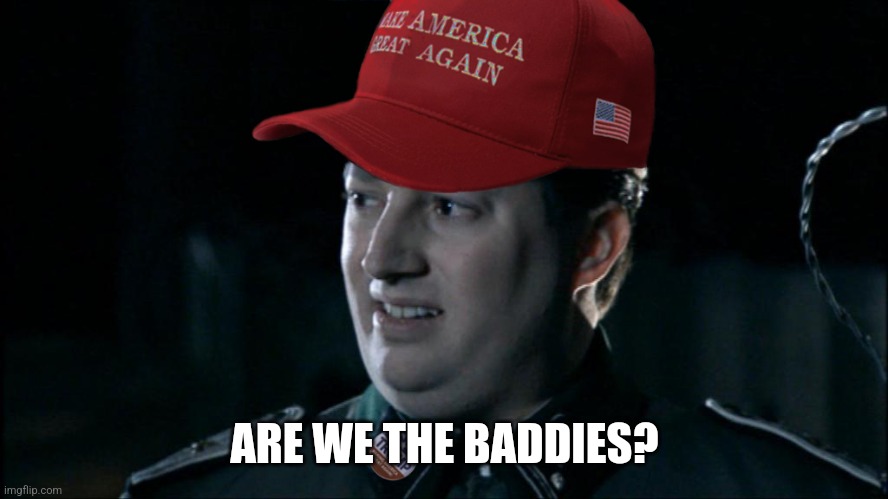 MAGA Are we the baddies | ARE WE THE BADDIES? | image tagged in maga are we the baddies | made w/ Imgflip meme maker