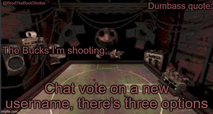 BredTheBuckShotter's temp | Chat vote on a new username, there's three options | image tagged in bredthebuckshotter's temp | made w/ Imgflip meme maker