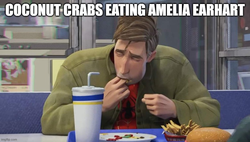 true | COCONUT CRABS EATING AMELIA EARHART | image tagged in spider-man burger | made w/ Imgflip meme maker