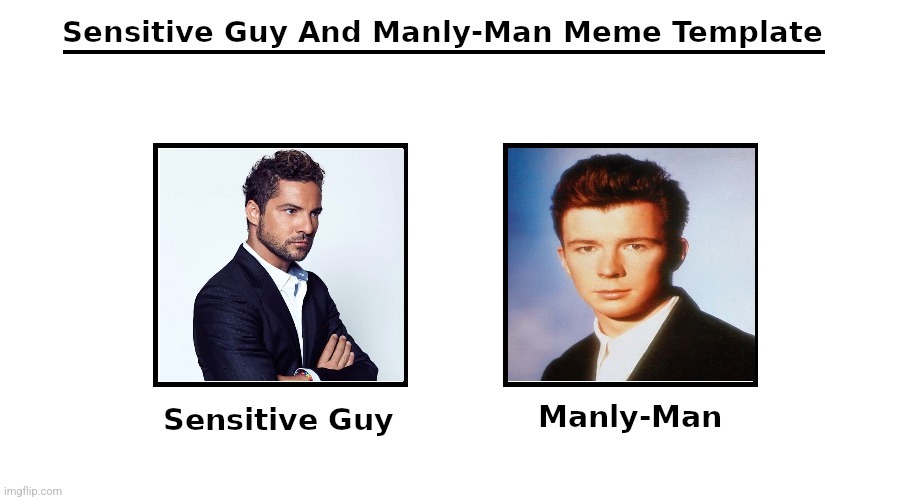 David Bisbal = Sensitive Guy (because of ballads and he's lyrical tenor) Rick Astley = Manly-Man (baritone, deep and strong) | image tagged in funny not funny,fill-in memes suck,rick astley,david bisbal,music,memes | made w/ Imgflip meme maker