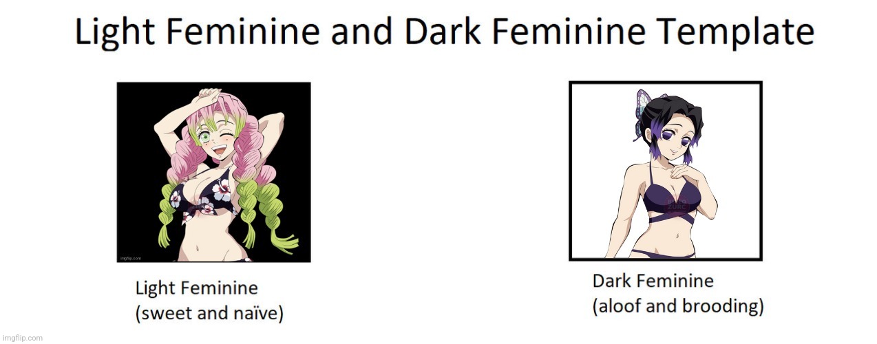 Mitsuri-chan = Light Feminine, Shinobu-sama = Dark Feminine | image tagged in demon slayer,mitsuri,shinobu,fill-in memes suck,anime | made w/ Imgflip meme maker