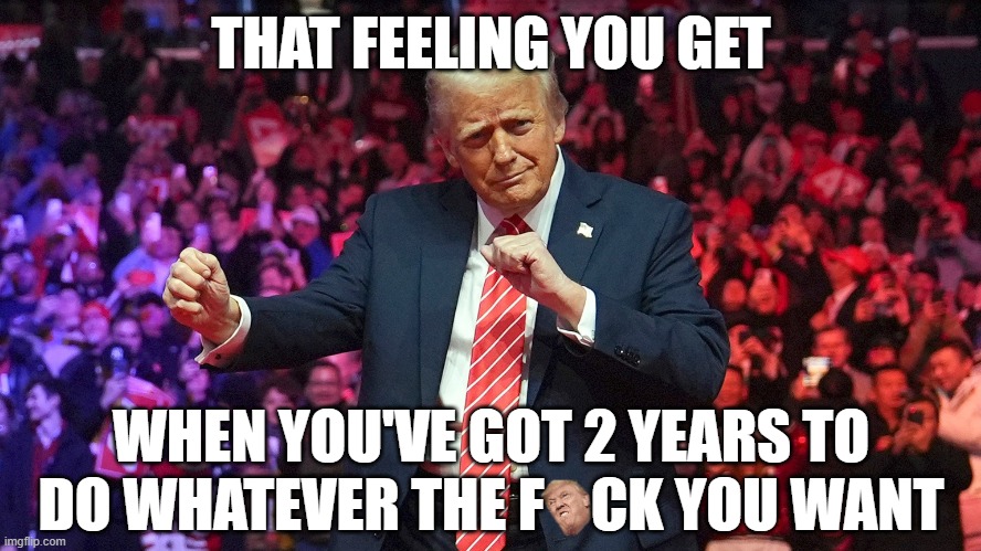 Trump dances his way into meme folklore | THAT FEELING YOU GET; WHEN YOU'VE GOT 2 YEARS TO DO WHATEVER THE F    CK YOU WANT | image tagged in memes,donald trump,usa,republicans,dance,village people | made w/ Imgflip meme maker