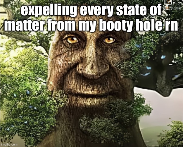 tree | expelling every state of matter from my booty hole rn | image tagged in tree | made w/ Imgflip meme maker