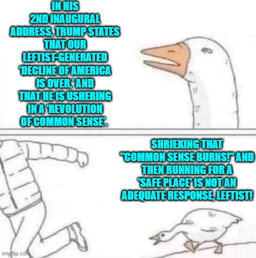 Not adequate; but still amusing. | IN HIS 2ND INAUGURAL ADDRESS, TRUMP STATES THAT OUR LEFTIST-GENERATED ‘DECLINE OF AMERICA IS OVER,’ AND THAT HE IS USHERING IN A ‘REVOLUTION OF COMMON SENSE’. SHRIEKING THAT "COMMON SENSE BURNS!" AND THEN RUNNING FOR A 'SAFE PLACE' IS NOT AN ADEQUATE RESPONSE, LEFTIST! | image tagged in goose chase | made w/ Imgflip meme maker