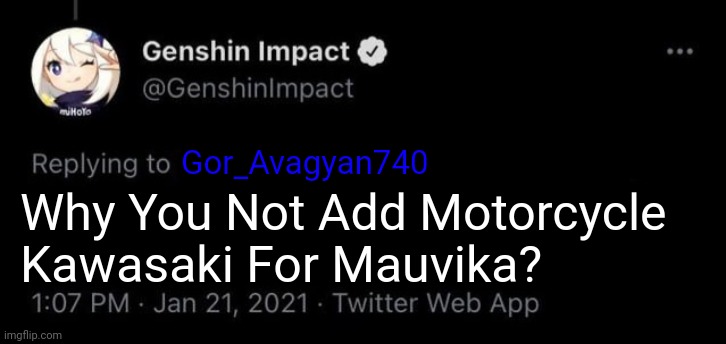 Damm... Genshin Impact Meme Tweet Blank | Gor_Avagyan740; Why You Not Add Motorcycle Kawasaki For Mauvika? | image tagged in genshin impact tweet blank meme,memes,funny,twitter,kawasaki | made w/ Imgflip meme maker