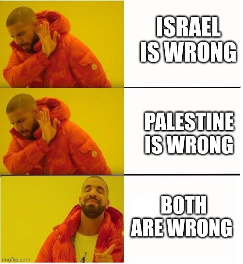 Like buddy you invading them | ISRAEL IS WRONG; PALESTINE IS WRONG; BOTH ARE WRONG | image tagged in drake 3 row,israel,palestine,why are you reading the tags | made w/ Imgflip meme maker