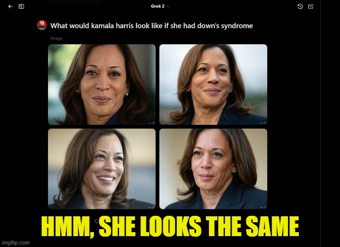 That explains it | HMM, SHE LOOKS THE SAME | image tagged in kamala harris,california,maga,election,america first,trump | made w/ Imgflip meme maker