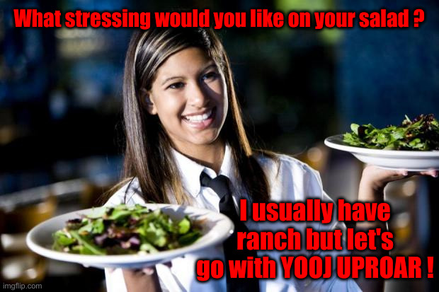 Waitress | What stressing would you like on your salad ? I usually have ranch but let's go with YOOJ UPROAR ! | image tagged in waitress | made w/ Imgflip meme maker