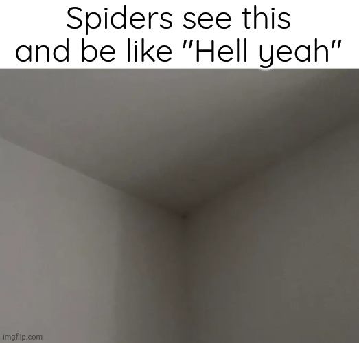 Real ngl | Spiders see this and be like "Hell yeah" | image tagged in house corner | made w/ Imgflip meme maker