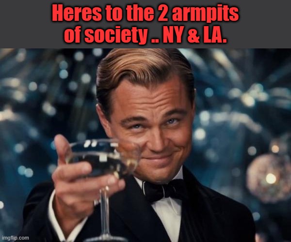 You know its true | Heres to the 2 armpits of society .. NY & LA. | image tagged in memes,leonardo dicaprio cheers | made w/ Imgflip meme maker