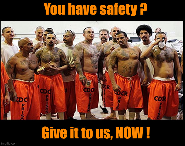 Illegal Aliens for Real | Give it to us, NOW ! You have safety ? | image tagged in illegal aliens for real | made w/ Imgflip meme maker