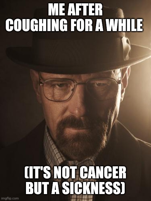 We need to cook | ME AFTER COUGHING FOR A WHILE; (IT'S NOT CANCER BUT A SICKNESS) | image tagged in walter white | made w/ Imgflip meme maker