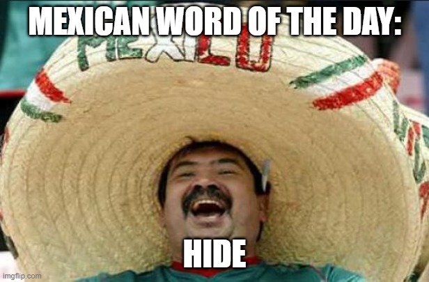 Mexican word of the day | MEXICAN WORD OF THE DAY:; HIDE | image tagged in funny,funny memes,politics,political meme | made w/ Imgflip meme maker