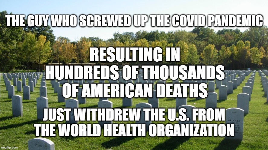 THE GUY WHO SCREWED UP THE COVID PANDEMIC; RESULTING IN HUNDREDS OF THOUSANDS OF AMERICAN DEATHS; JUST WITHDREW THE U.S. FROM THE WORLD HEALTH ORGANIZATION | image tagged in pandemic,idiot | made w/ Imgflip meme maker