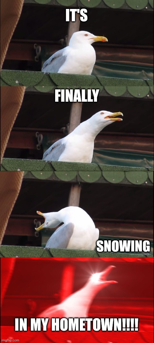 Finally Snowing | IT'S; FINALLY; SNOWING; IN MY HOMETOWN!!!! | image tagged in memes,inhaling seagull,weather,funny,snow,jpfan102504 | made w/ Imgflip meme maker