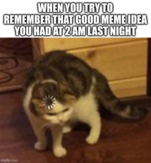 At least I remembered this one... | WHEN YOU TRY TO REMEMBER THAT GOOD MEME IDEA YOU HAD AT 2 AM LAST NIGHT | image tagged in loading cat | made w/ Imgflip meme maker