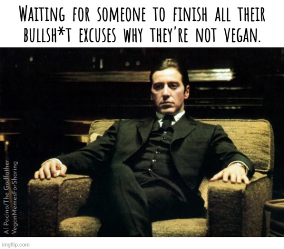 Animals Are Not Our Food | image tagged in vegan,veganism,vegetarian,bacon,hamburger,chees | made w/ Imgflip meme maker