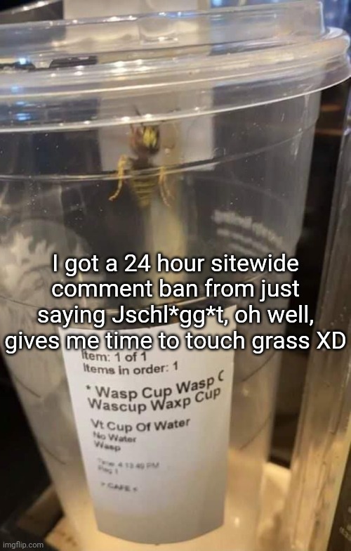 Wasp cup Wasp cup Wasp cup Wasp cup Wasp cup Wasp cup Wasp cup | I got a 24 hour sitewide comment ban from just saying Jschl*gg*t, oh well, gives me time to touch grass XD | image tagged in wasp cup wasp cup wasp cup wasp cup wasp cup wasp cup wasp cup | made w/ Imgflip meme maker