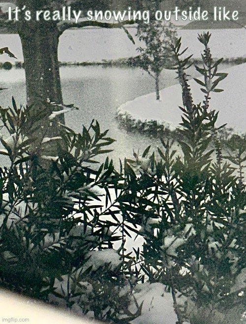 It’s so pretty, and this is so fun | It’s really snowing outside like | made w/ Imgflip meme maker