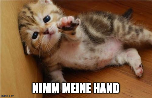 Help Me Kitten | NIMM MEINE HAND | image tagged in help me kitten | made w/ Imgflip meme maker